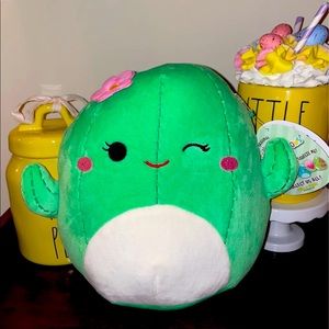 🌵 Squishmallow Maritza